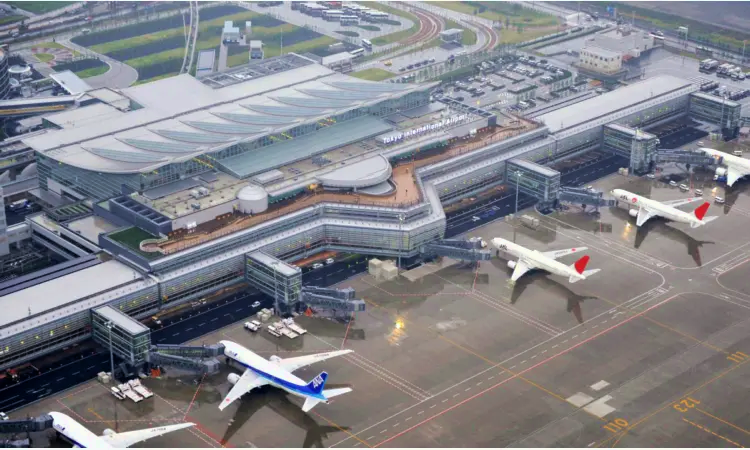 נמל התעופה החדש של צ'יטוס