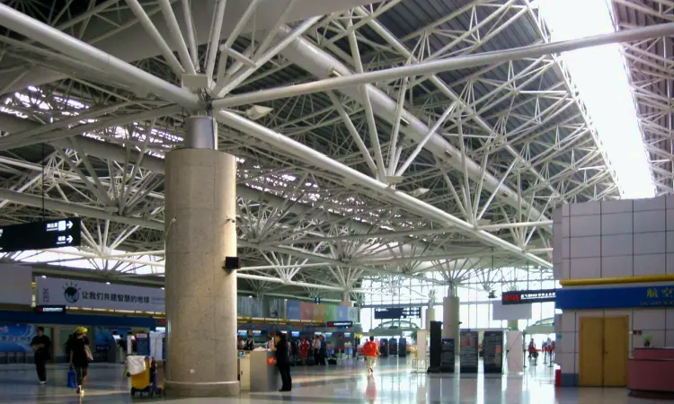 Международный аэропорт Нанкин Лукоу