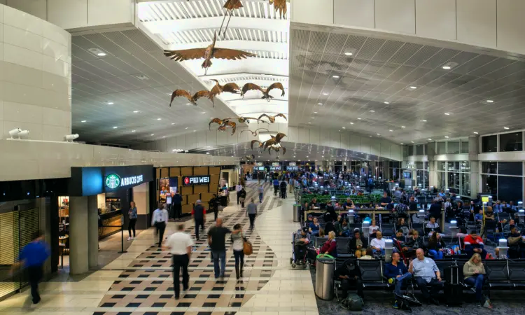 De internationale luchthaven van Tampa