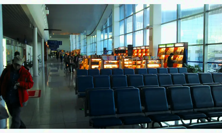 De internationale luchthaven Ürümqi Diwopu