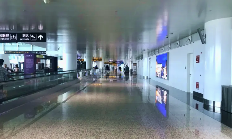 Wuhan Tianhe internasjonale lufthavn